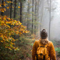 What are the cognitive benefits of spending time in the great outdoors while camping?